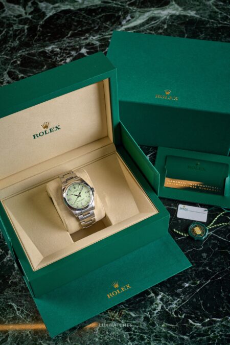 OP 36mm pistachio brand new